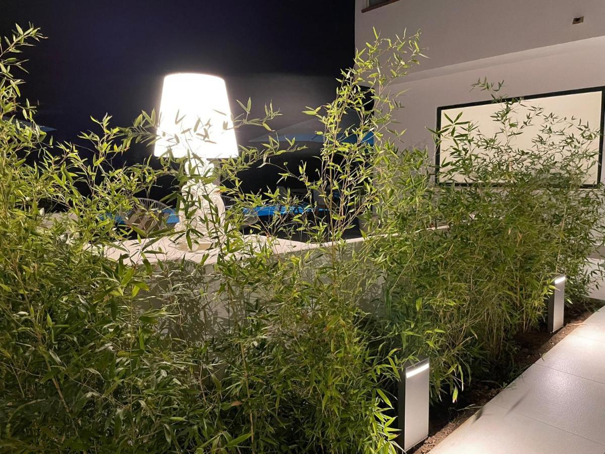 Dimora Manfredo Eco B&B Luxury San Nicola Arcella Exteriér fotografie